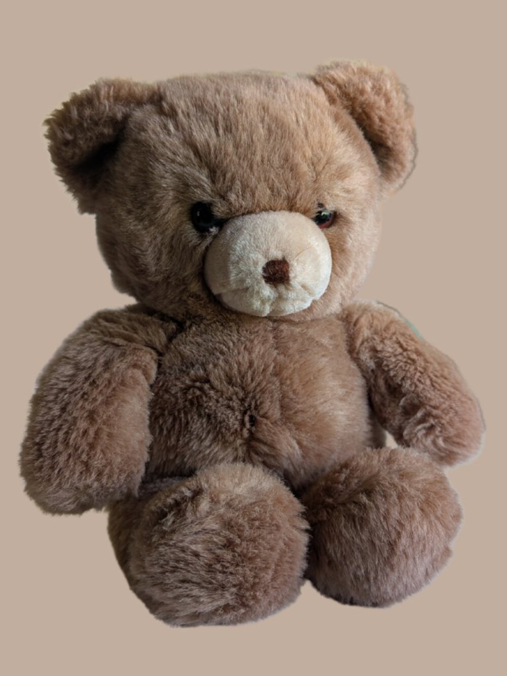 GUND Karitas 12" Tender Teddy Bear 1983